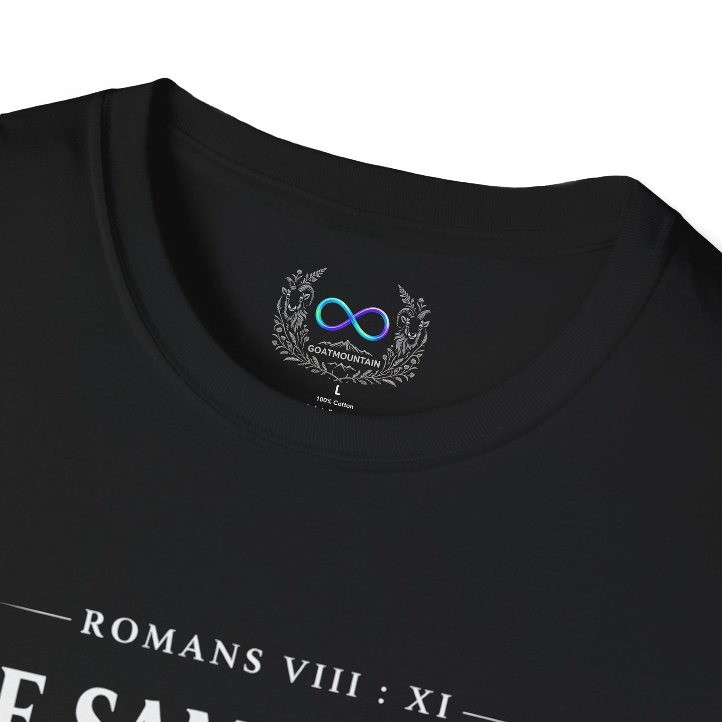 The Same Spirit // Romans 8:11 - GoatMountain T-Shirt